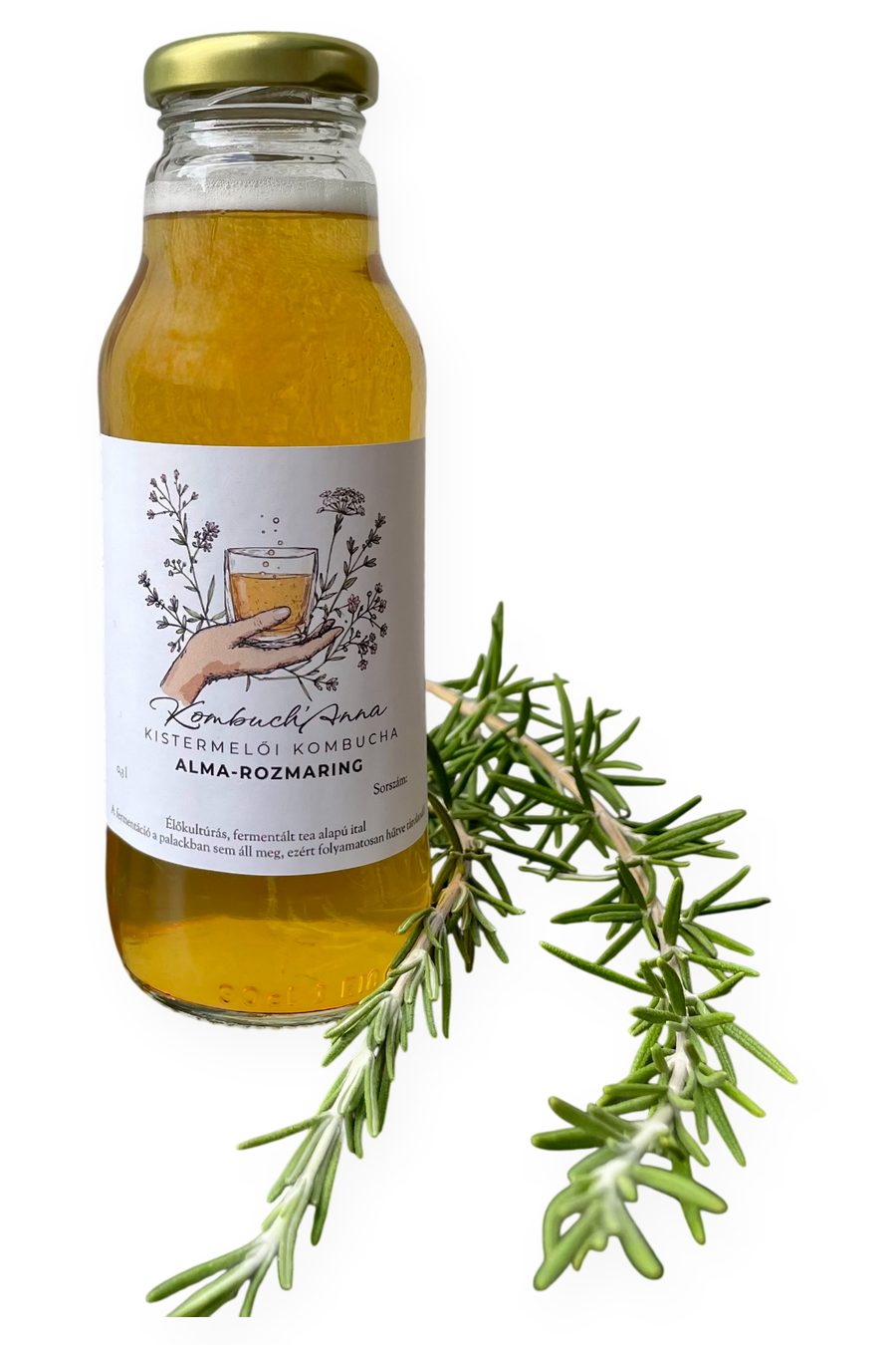 Kombuch’Anna Alma-rozmaring kombucha üvegpalackban, mellette friss rozmaringág